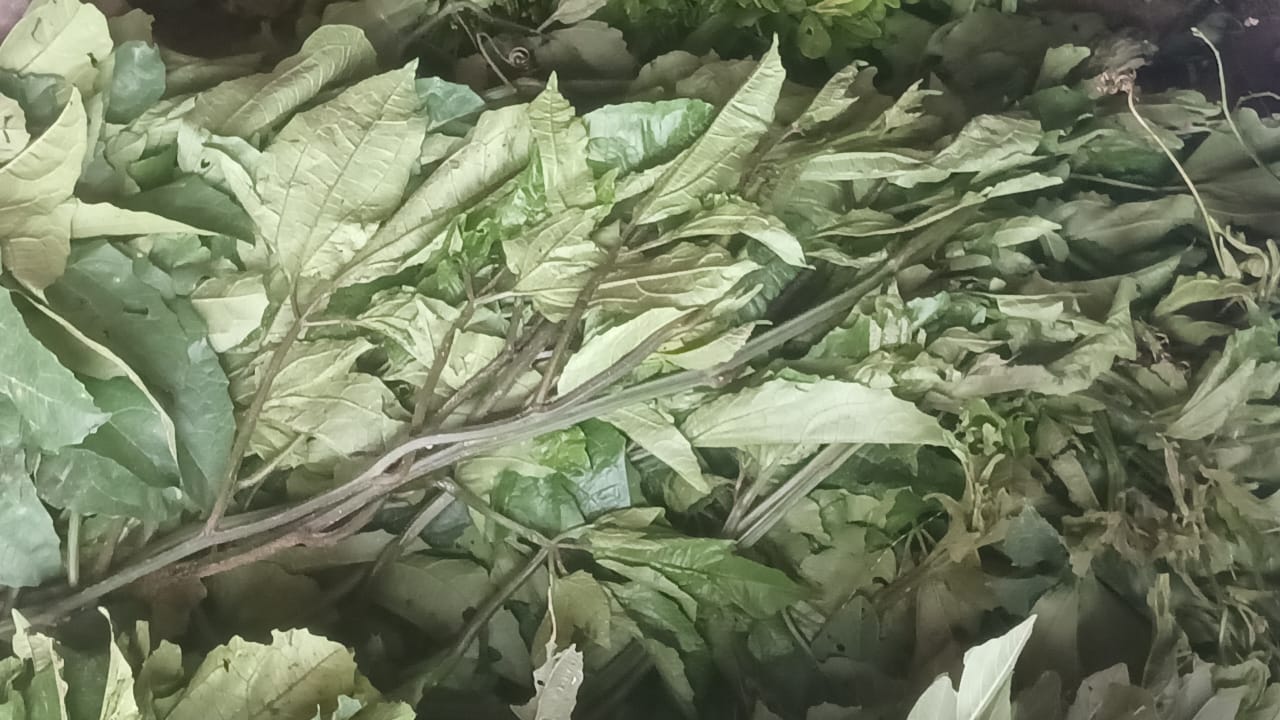 Ugwu