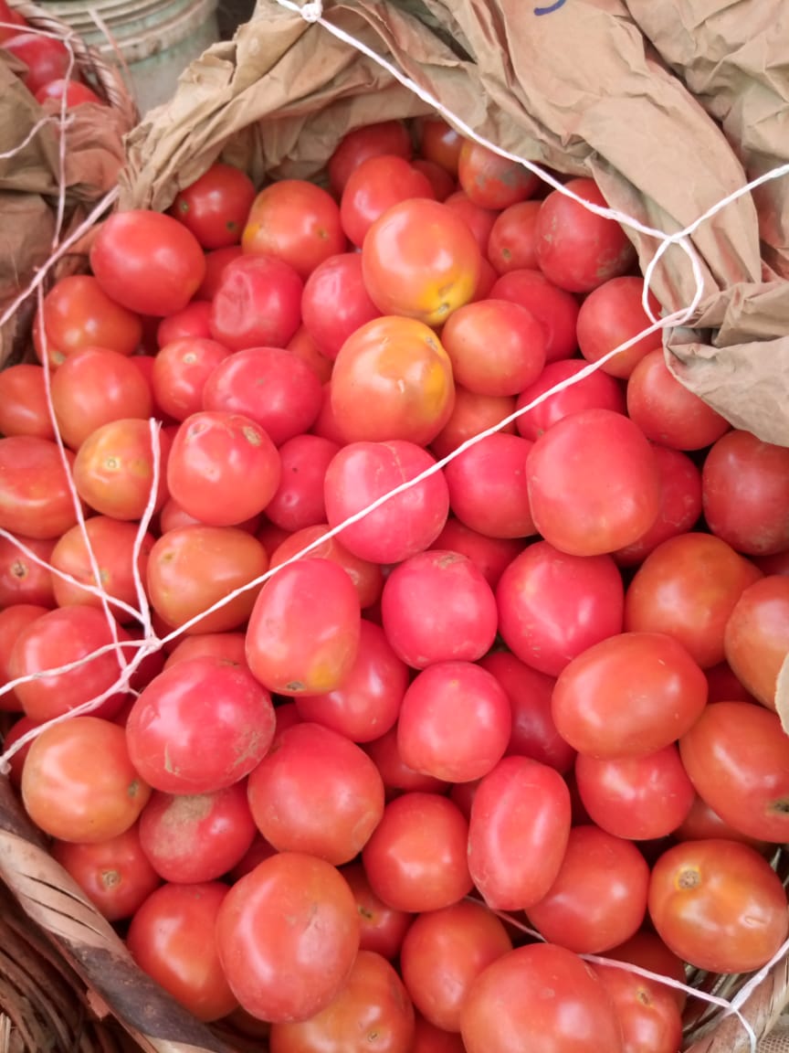 Tomato
