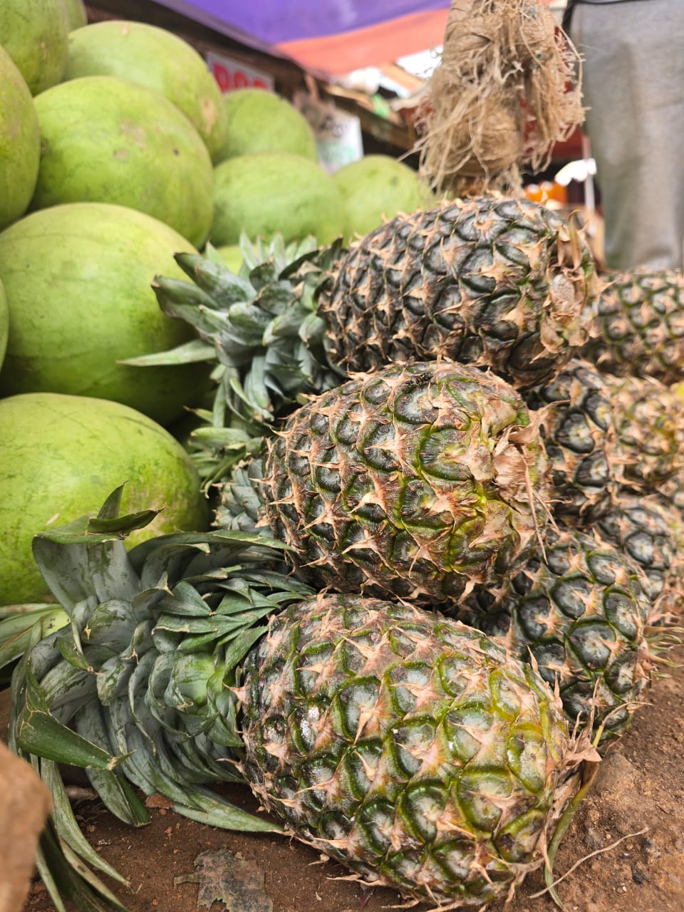 Pineapple