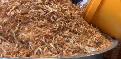 Crayfish