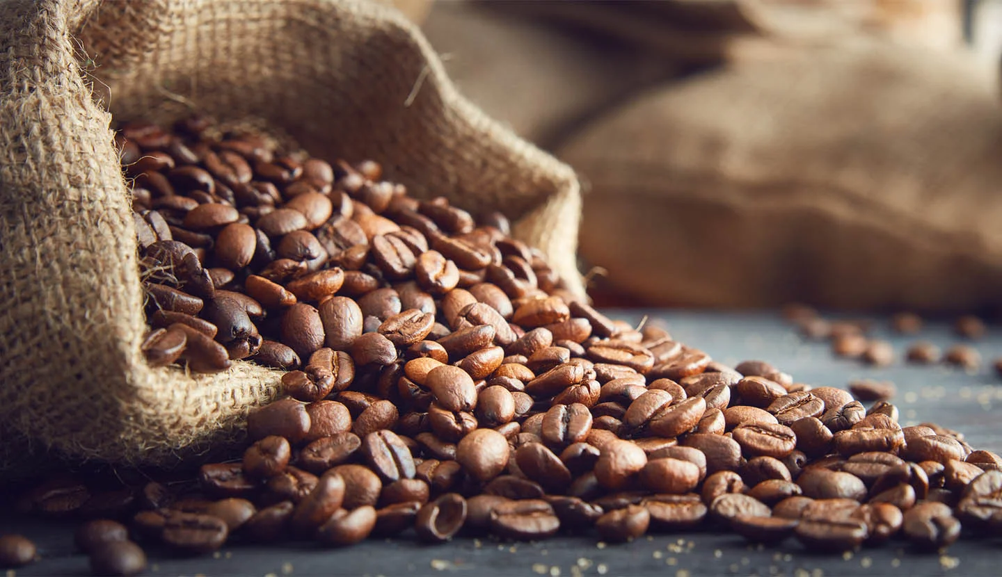 Premium Coffee Beans