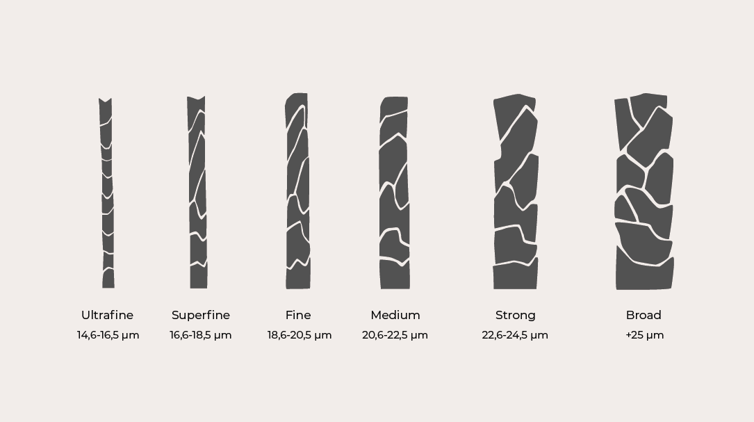 Difference Between Wool and Merino Wool  Compare the Difference Between  Similar Terms