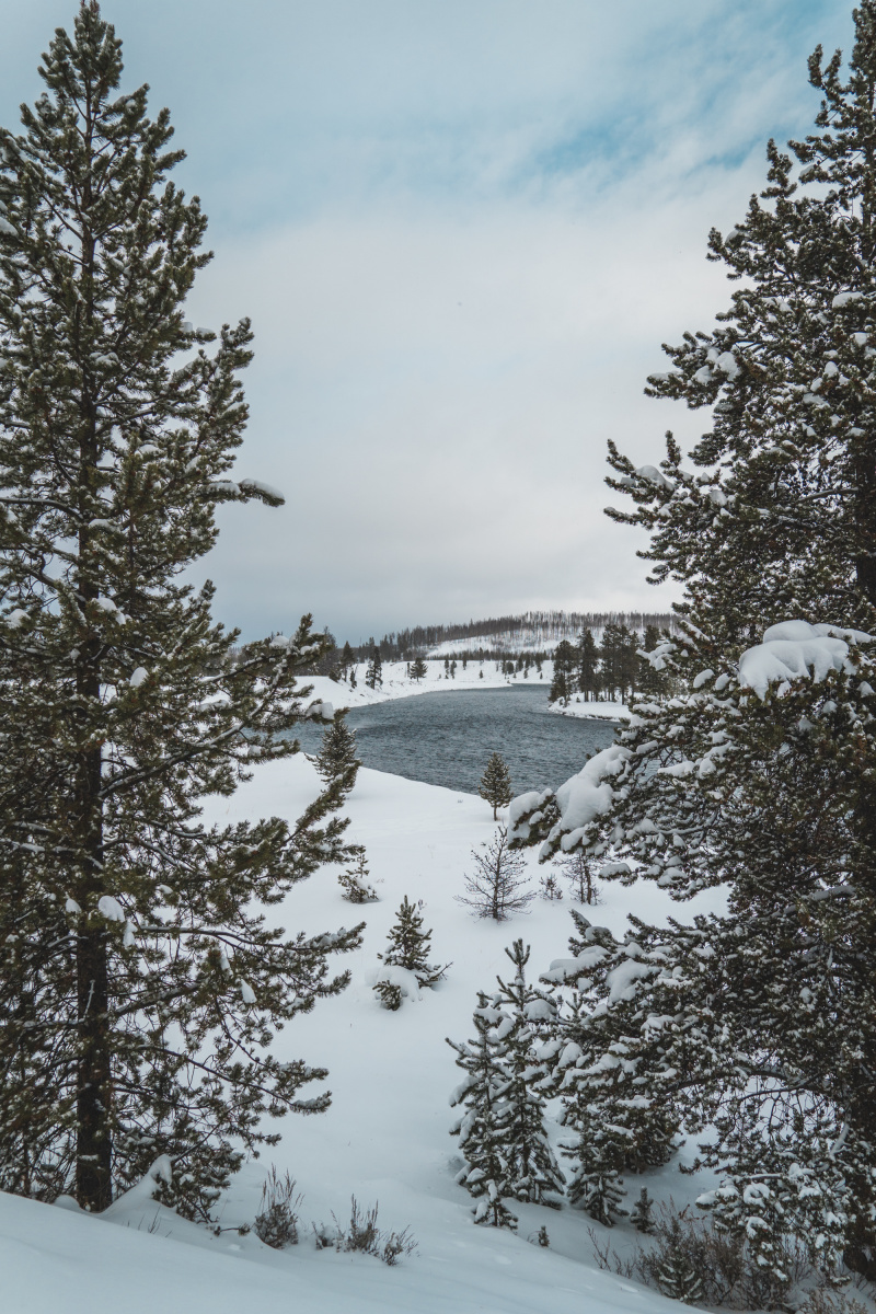 Madison River in Yellowstone