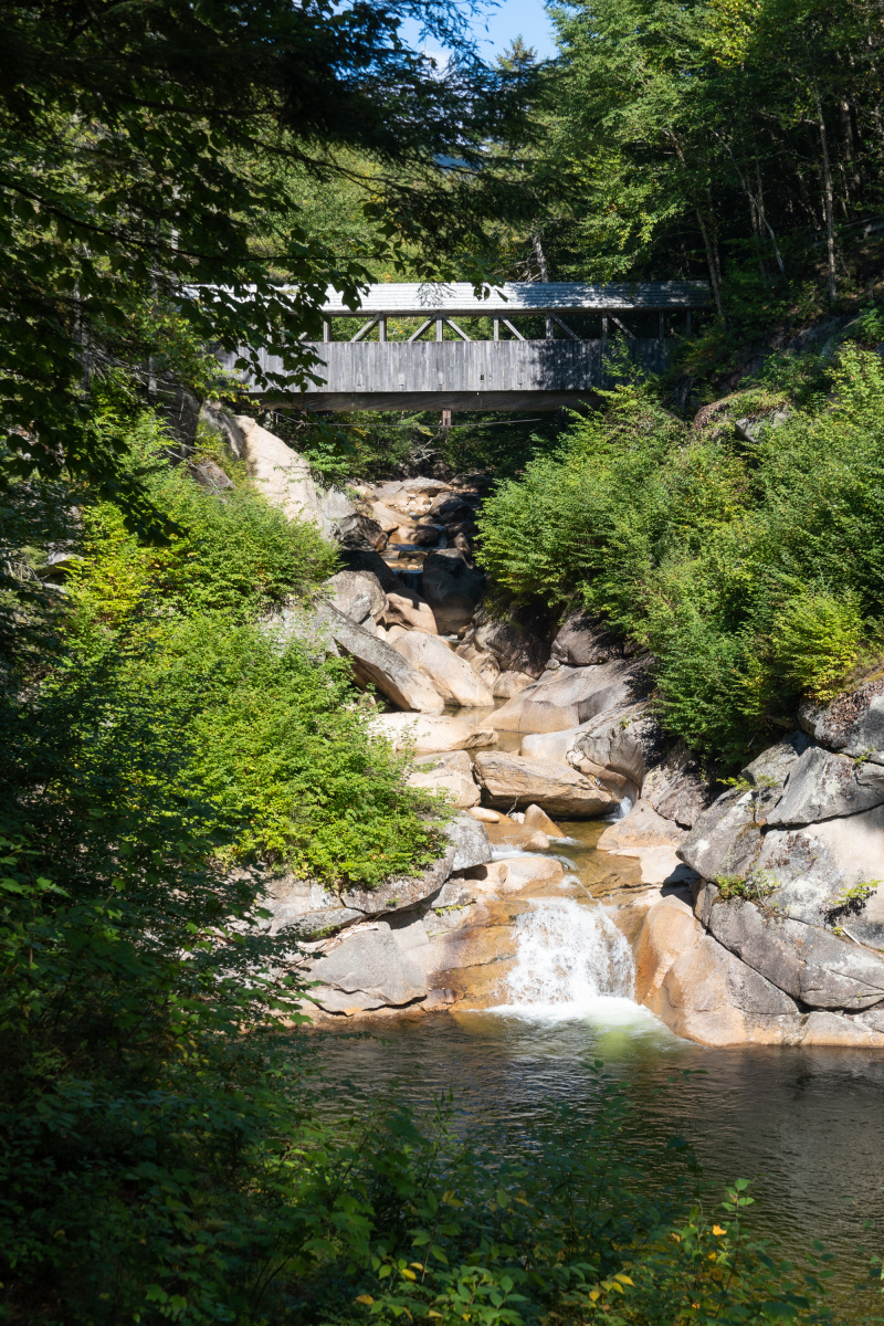 Covered bridge over the river