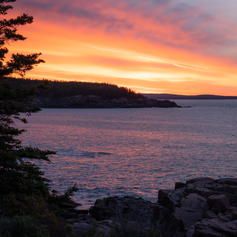 Acadia sky on fire sunrise