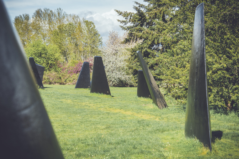 Sub fins as Orcas at Warren G. Magnuson Park