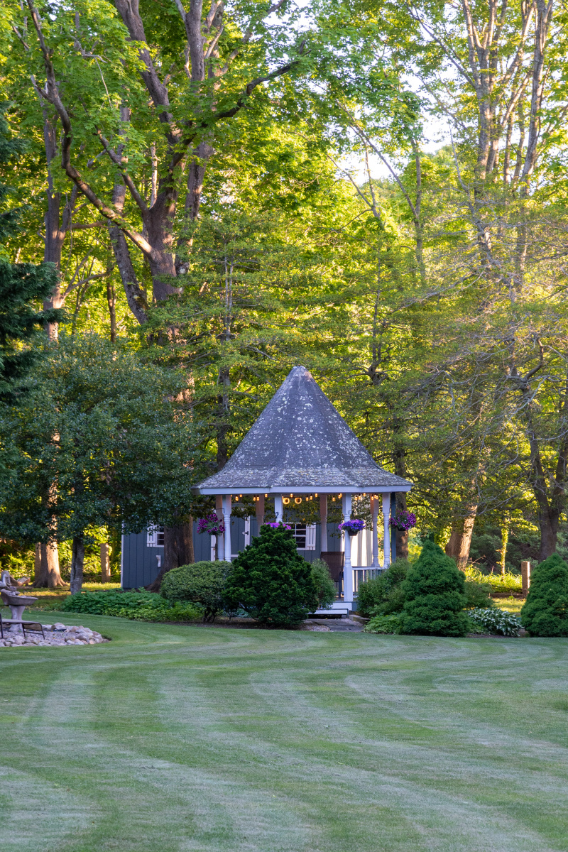 Backyard at the Manor