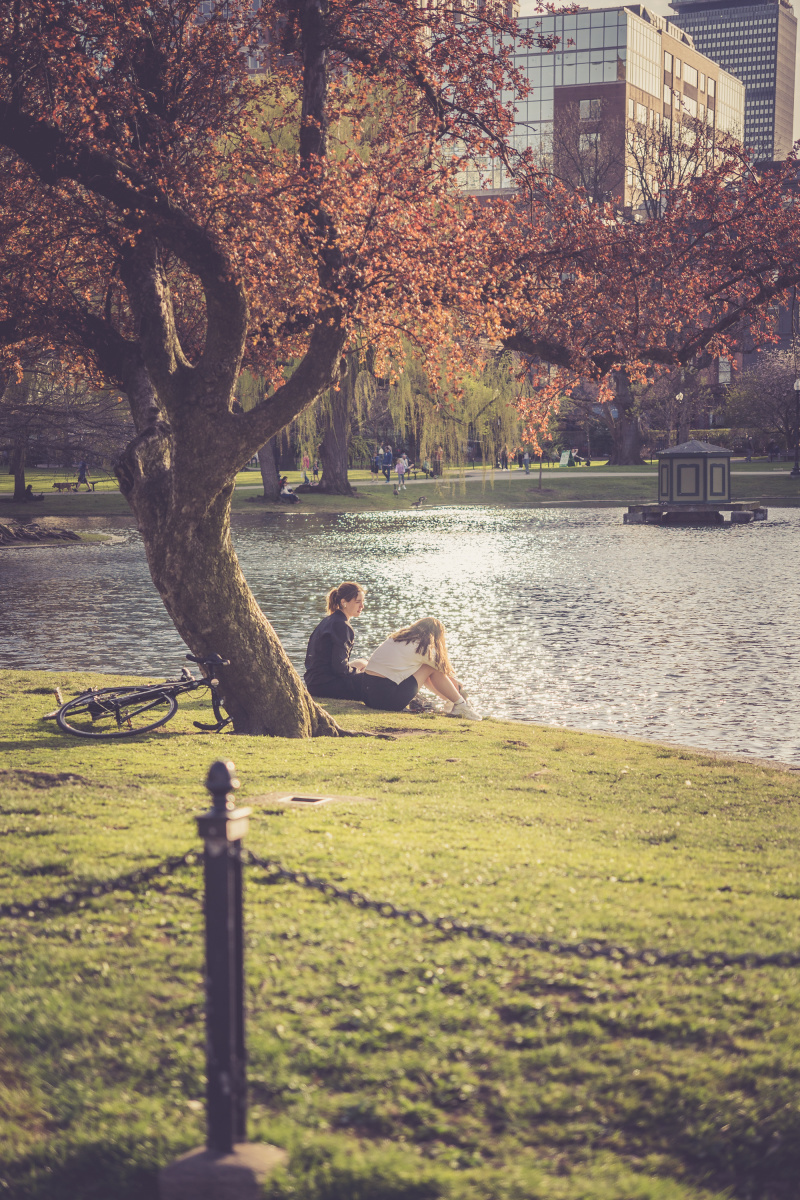 Spring in the park