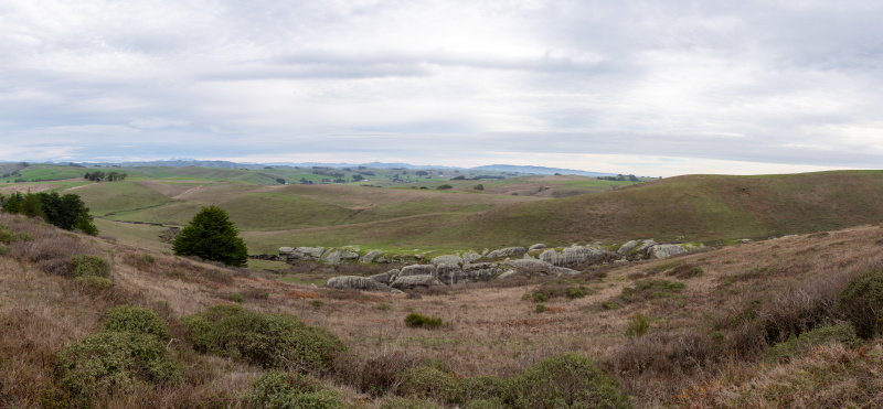 Rolling hill farmland