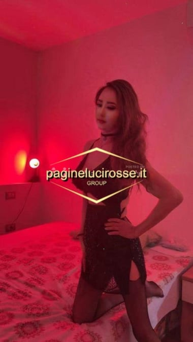 3479586029 -  lisa torino