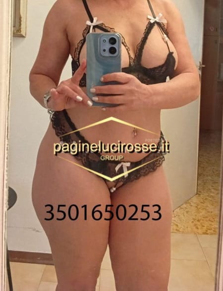 3501650253 - Viareggio LISA - Lucca