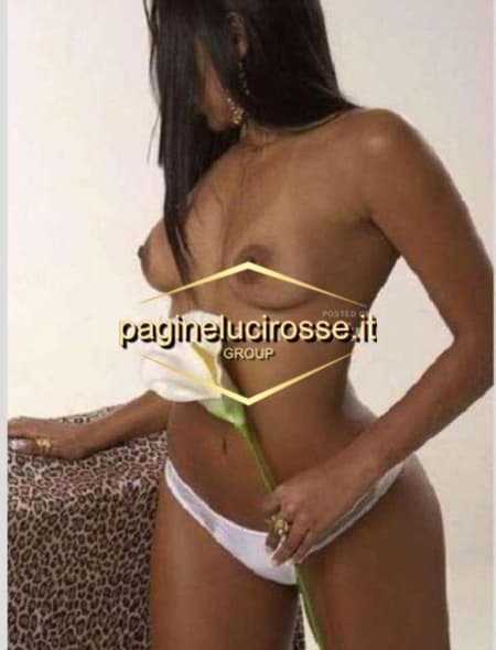 3509424655 -  LORUN - Massa-carrara