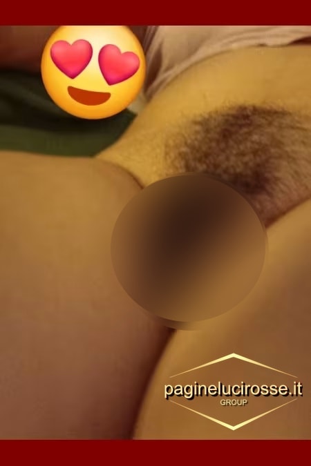 3533227565 -  ANY siena