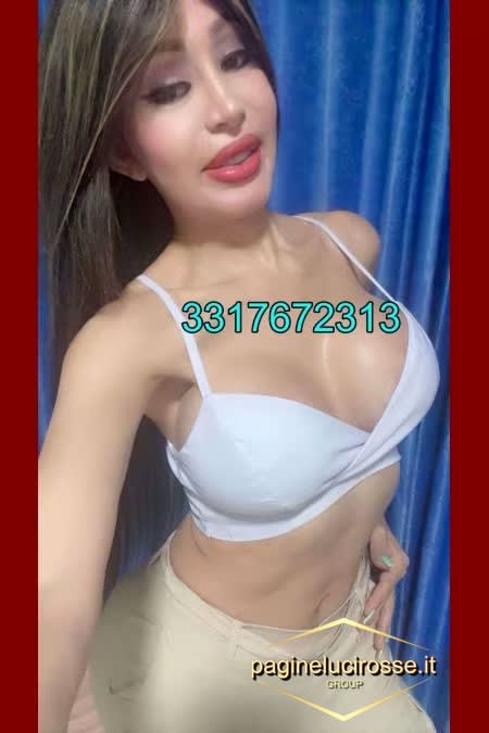 3317672313 -  SARAI TRANS firenze