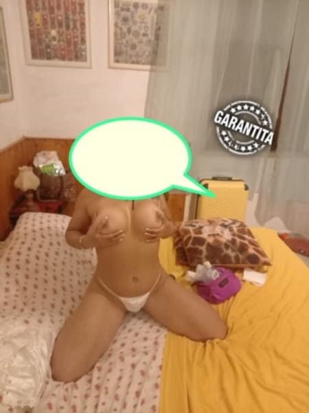 3791575632 - Cecina Paloma livorno