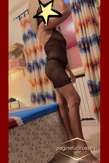 3392011734 - San Vincenzo Anna livorno