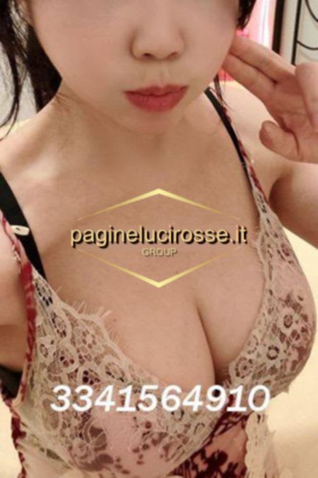 3341564910 -  Elen prato