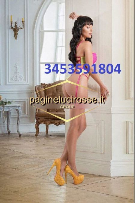 3453591804 - Cesena ELENA forli