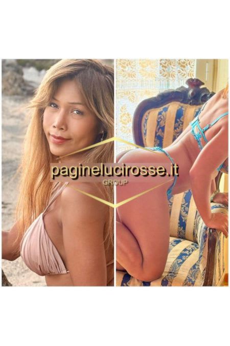 3489026722 - Centro TRANS ASIATICA arezzo