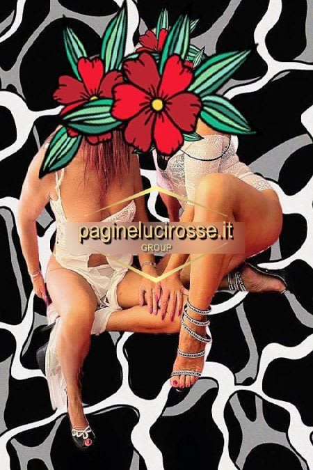 3715819754 - Montevarchi ITALIANA arezzo