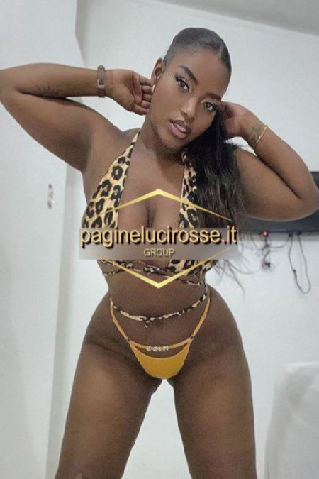 3511007193 -  LILY latina