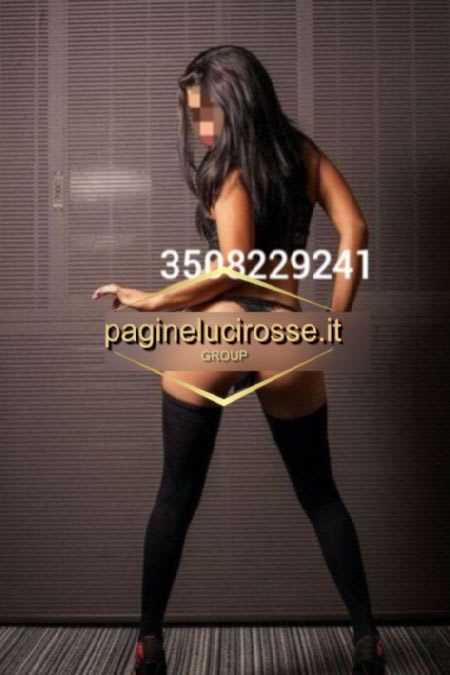 3508229241 -  XIKMENA latina