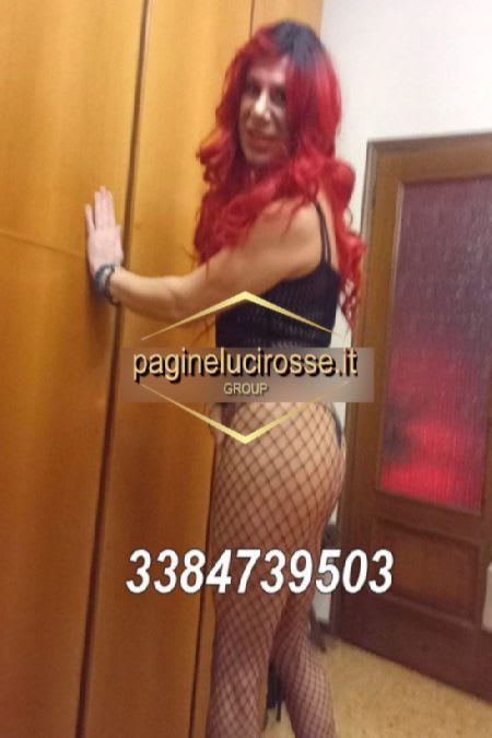 3384739503 - Corso Francia STELLA TRANS torino