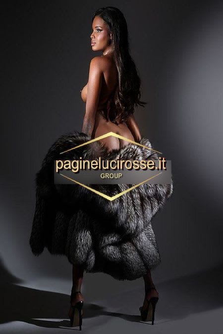 3930555601 - Albenga Laiza savona