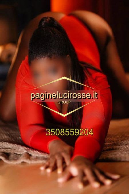 3508559204 - Conegliano SARA treviso