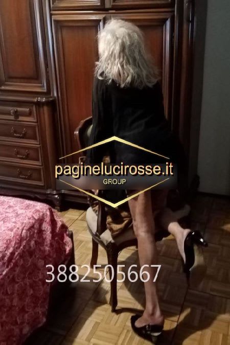 3882505667 - Barriera di Milano ITALIANA torino