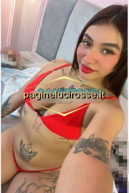 3445266164 -  PORCELLINA siena