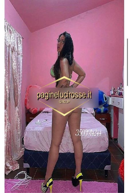 3508914244 -  Favola vercelli