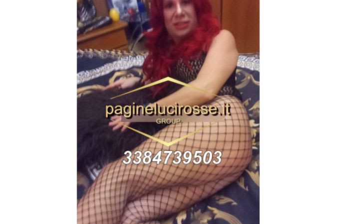 3384739503 - Corso Francia STELLA TRANS - Torino