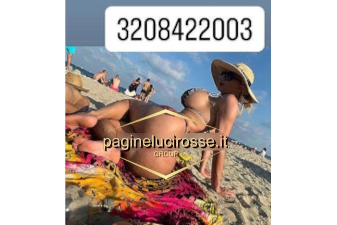 3208422003 -  Britany - Frosinone