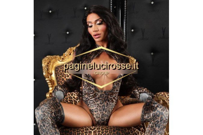 3755747484 - Mirafiori DAFNE - Torino