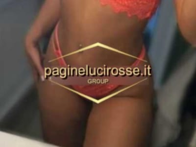 3520111393 modena DARYA Escort