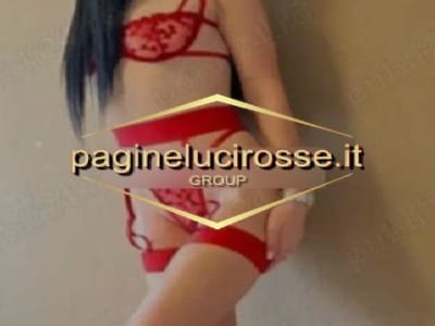 3510388276 arezzo PANTERA  Escort