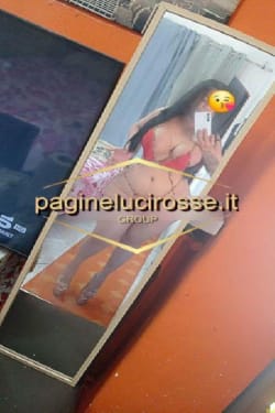 PAMELA a Milano