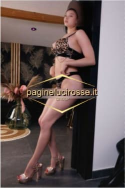 3936887905 - BELLISSIMA  - Escort Verbano-cusio-ossola