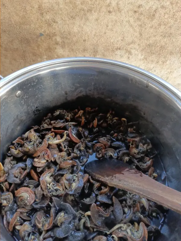 Commande à la Marmite " escargots " 5