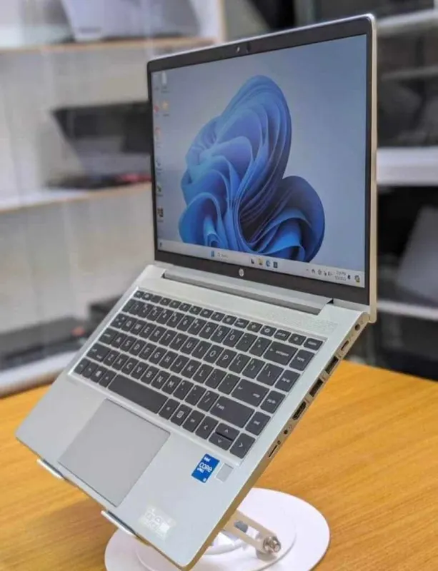 HD PROBOOK 445 g8