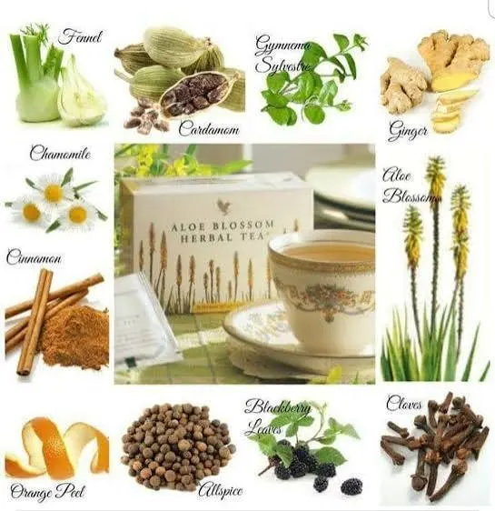 Forever blossom herbal tea 4