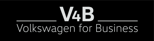 V4B - DALMAU MOTOR