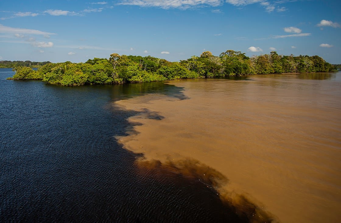 Amazon Blackwater