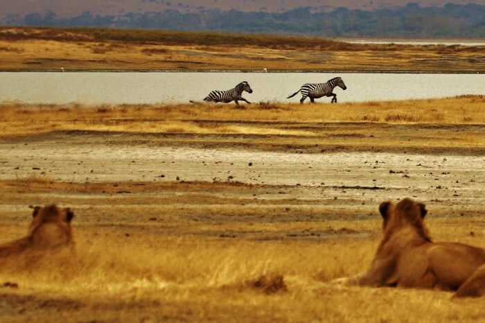 African Rift Lake (Tanganyika / Malawi) — habitat photo