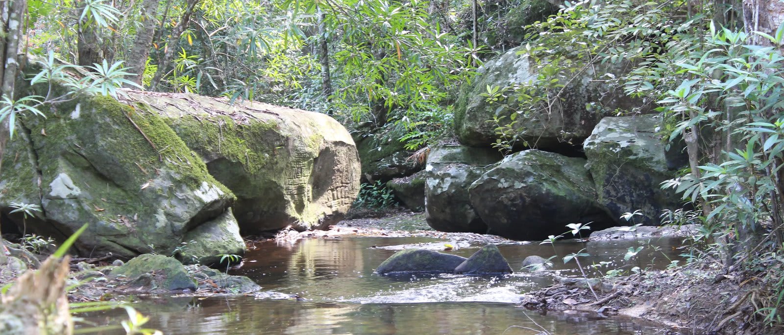 Southeast Asian Stream