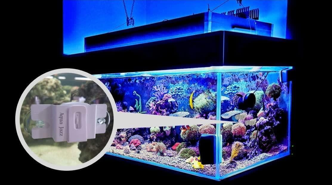 Aquarium IP camera