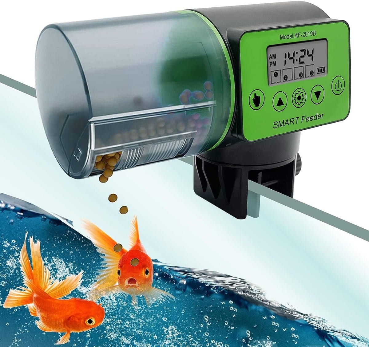Automatic fish feeder
