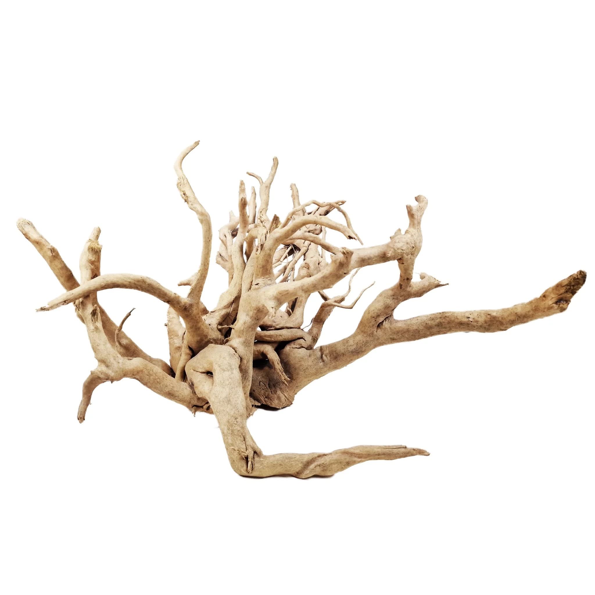 Azalea/Spider wood