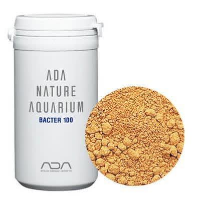Bacterial starter powder